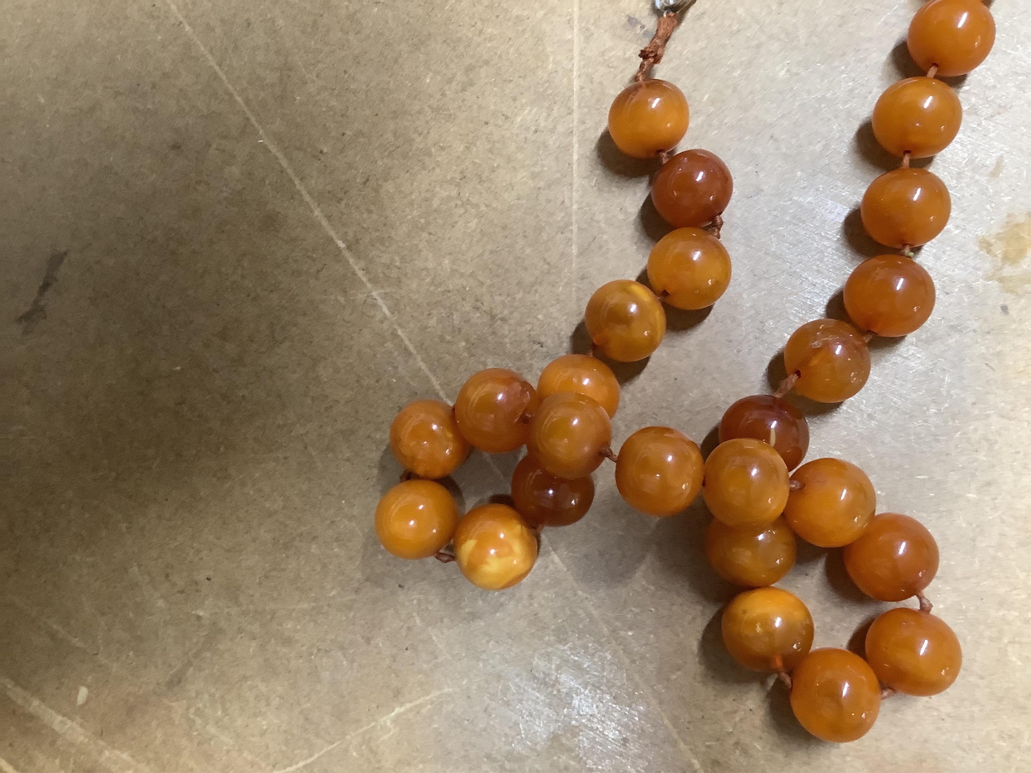 A single strand circular amber bead necklace, 56cm, gross weight 55 grams.